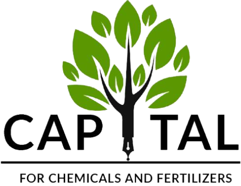 capitalcfc.site